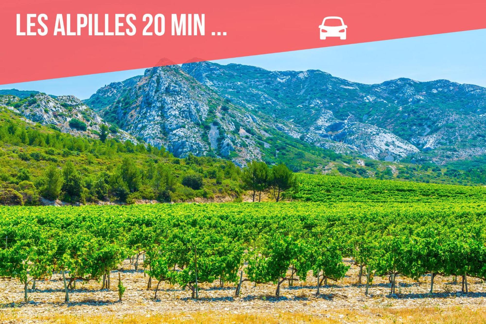 Succes - Tres Beau Duplex- Coeur D'Arles- Climatisationアパートメント エクステリア 写真